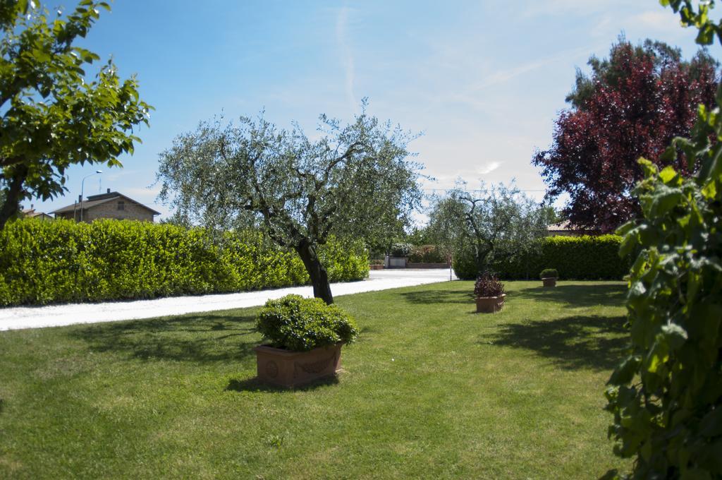Rosa Di Assisi Bed & Breakfast Bastia Umbra Exterior foto